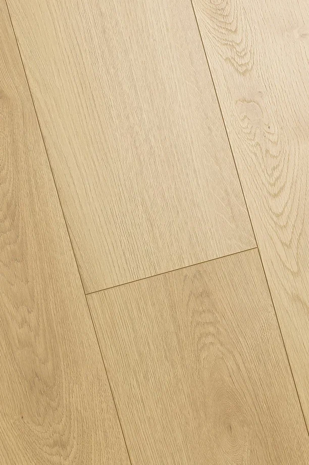 1F301_5
