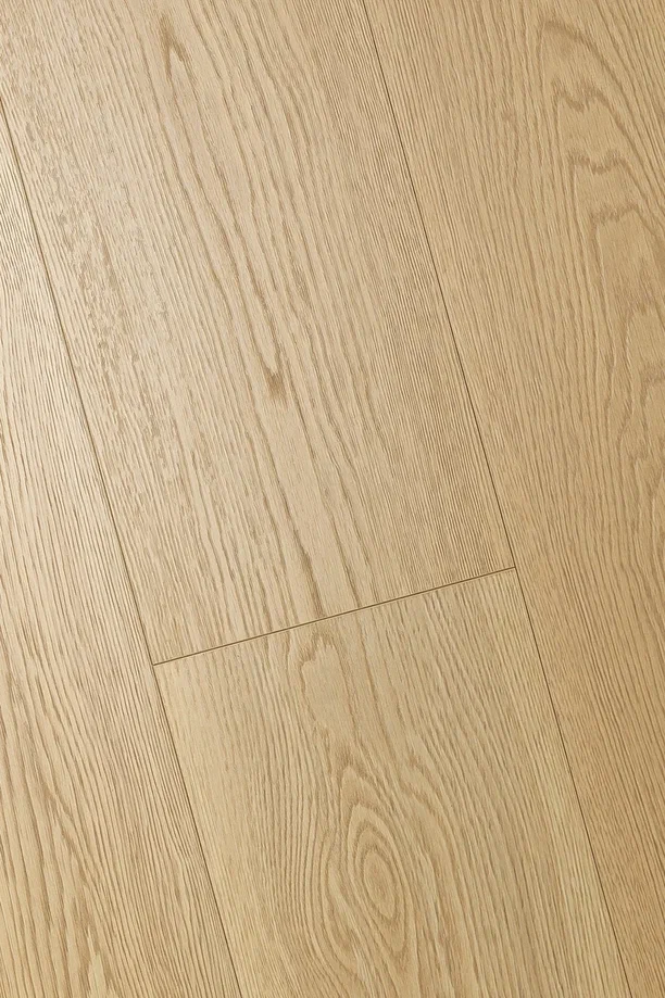 1F307_8