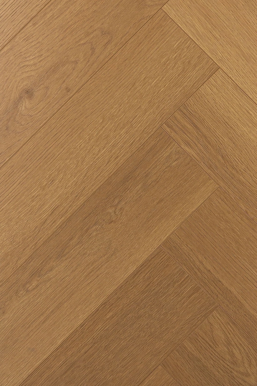 1F337_2-1500x1500